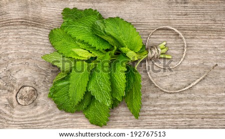 fresh green mint leaves over rustic wooden background. country style picture. selective focus