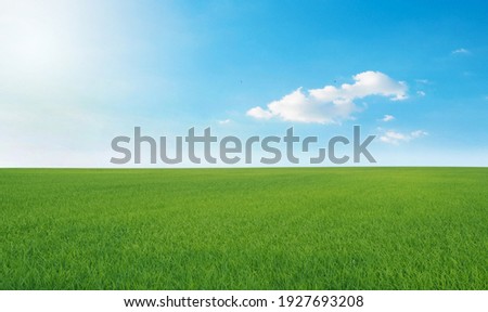 Green meadows with blue sky and clouds background. Royalty-Free Stock Photo #1927693208