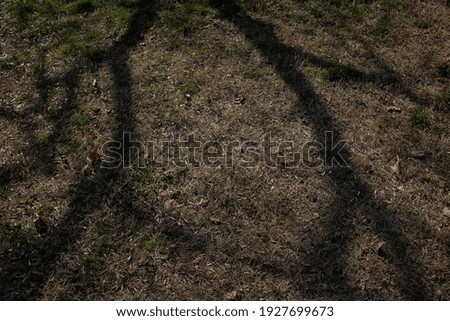 Pastel Shadow Gray Reflection  Background
