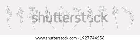 Botanical drawing. Minimal plant logo, meadow greenery, leaf and blooming flower abstract sketch element collection, linear rustic branch. Vector hand drawn wedding invitation bouquet decoration set Royalty-Free Stock Photo #1927744556