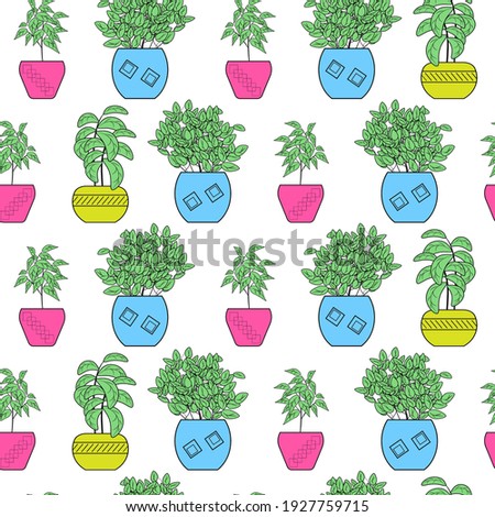 Houseplants in pots. Seamless pattern. Creative flower shop decoration design or flower wrapping paper design. Vector