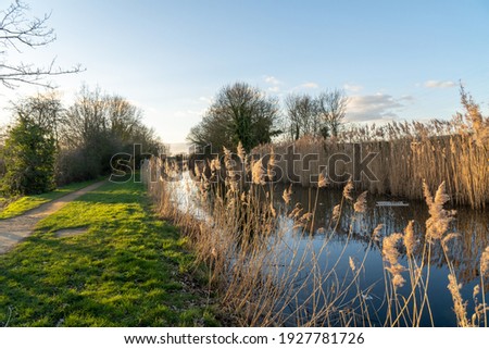Beautiful view of canal and towpath, Slough, UK Royalty-Free Stock Photo #1927781726