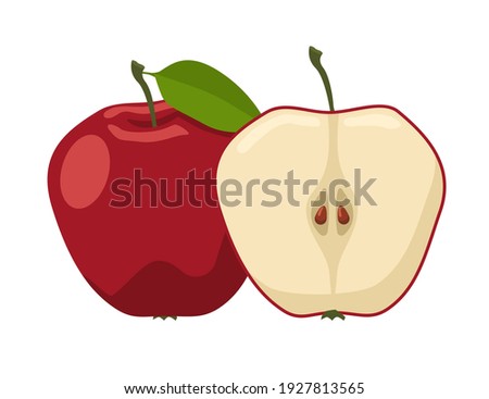 Red ripe apple. Whole and cut in half fruit. Flat vector illustration isolated on white background.