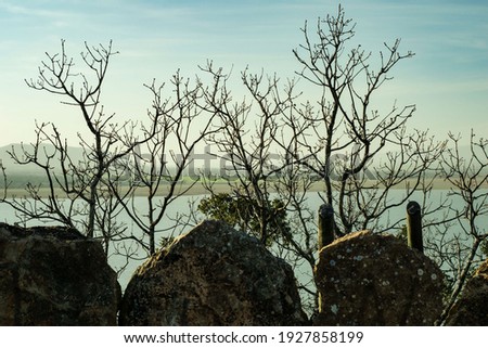 dry branches with stones against a backdrop of sky and water