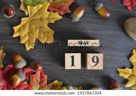 May 19, Cover Date design with Calendar cube decorate with maple leaf and Acorn Oak seed for your business.