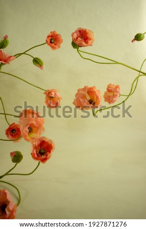 summer colorful background with flowers