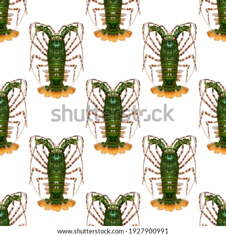 green lobster isolated on a white background. seamless pattern