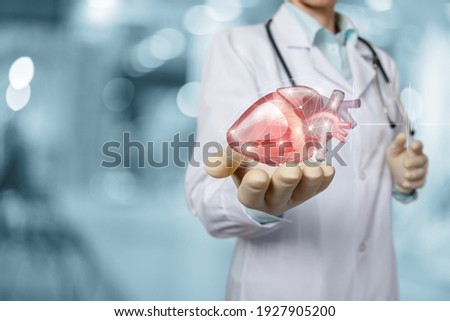 Heart disease diagnosis and treatment concept. Doctor shows heart on blurred background. Royalty-Free Stock Photo #1927905200