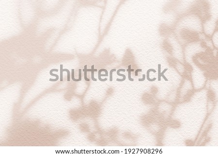 Natural flower shadows are blurred on light brown and cream color wall at home at sunrise.  Royalty-Free Stock Photo #1927908296
