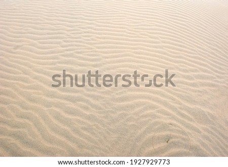 Fine beach sand in the summer sun.   Sand texture. Sandy beach for background. Top view.