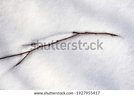 Brown tree branch with buds on freshly fallen snow. Minimalistic winter or start of spring background. Image with copy space.          Royalty-Free Stock Photo #1927955417
