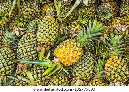 Close-up Pineapple 
