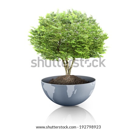 green plant on the Earth,globe , Elements of this image furnished by NASA 