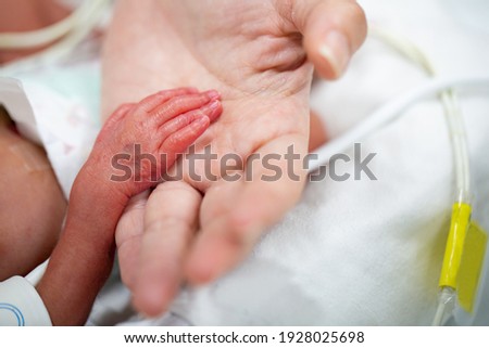 Newborn neonatal infant pulse oximeter premature baby.Mother holding her children inside incubator. Royalty-Free Stock Photo #1928025698