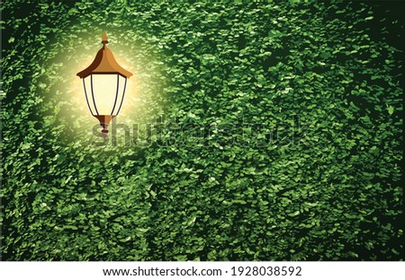a street lantern with plant green wall
