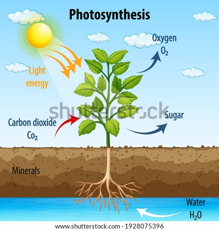 OXYGEN-PROCESSING Stock Vector Images - Avopix.com