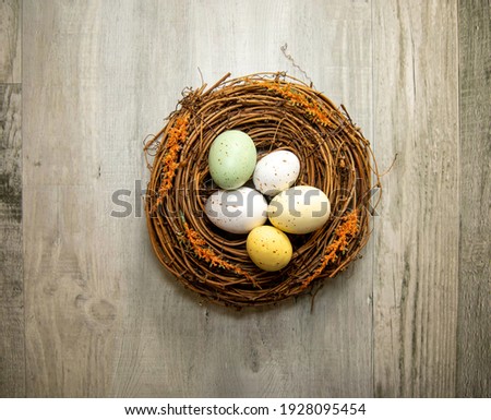 Top view of a nest egg. Finance, investing, retirement and insurance concept.