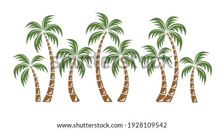 Palm trees isolated on white background. Beautiful vectro palma tree set vector illustration - Vector