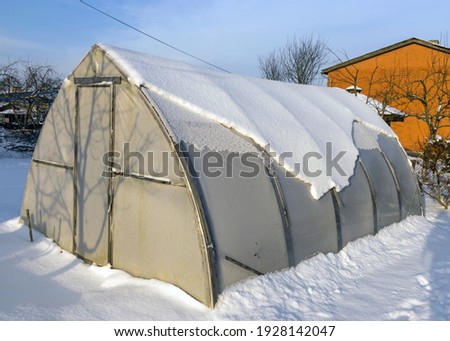 picture with snow - covered greenhouse on a sunny winter day
