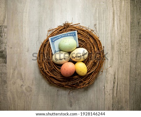 View of a nest egg. Retirement, insurance and social security concept.