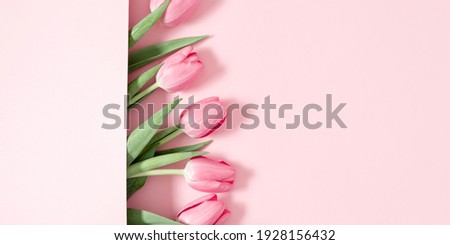 Beautiful pink tulips on pastel pink background. Concept Women's Day, March 8. 8th march. Flat lay, top view, copy space
 Royalty-Free Stock Photo #1928156432