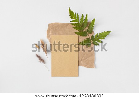Craft paper rectangle frame mockup with fern green leaves, pampas grass flat lay on white background top view. Minimalism composition in neutral tones. Empty blank template with copy space. Ecology