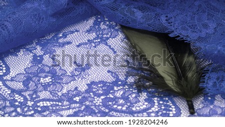 lace fabric. bird feather. lace color blue on a white background. Texture, pattern. When it's time to choose the right pattern for your needs, you can count on my textures.