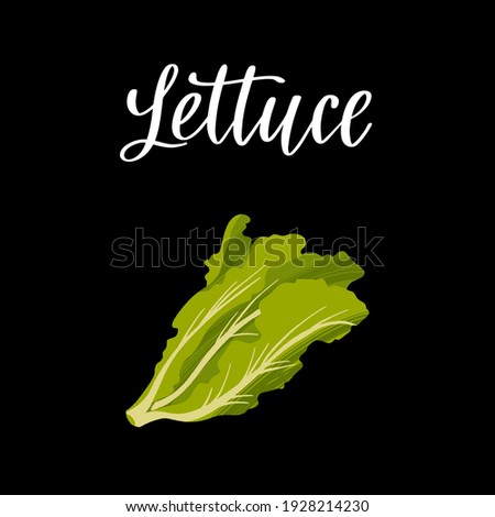 Healthy nutrition product. Fresh tasty lettuce salad. Vector hand drawn flat isolated illustration with hand written lettering for your design on black background.
