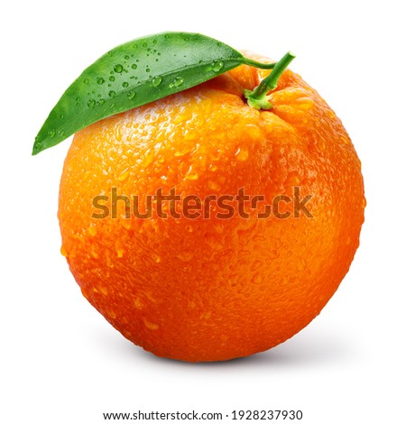 Orange fruit isolate. Orange citrus with drops on white background. Whole wet orange fruit with leaves. Full depth of field. Royalty-Free Stock Photo #1928237930