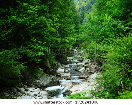 Gilort river flowing rapidly and vividly through its wild stony valley. Wild hardwood forest accompanies the river along its path. Large dislocated boulders populate the riverbed. Carpathia, Romania. Royalty-Free Stock Photo #1928241008