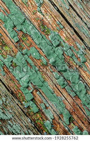 the peeling paint is green and mint colored like mold on an old rough rough wooden wet surface