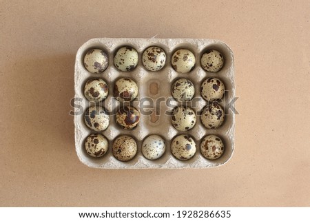 Count of quail eggs: 2 eggs absent. Kraft paper pack of 20 slots for eggs in the center of picture. 18 eggs in it. Kraft paper background. Soft side light