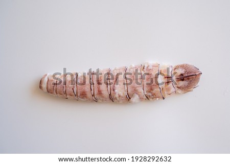 Mantis shrimps, Stomatopod meat  isolated on a white background