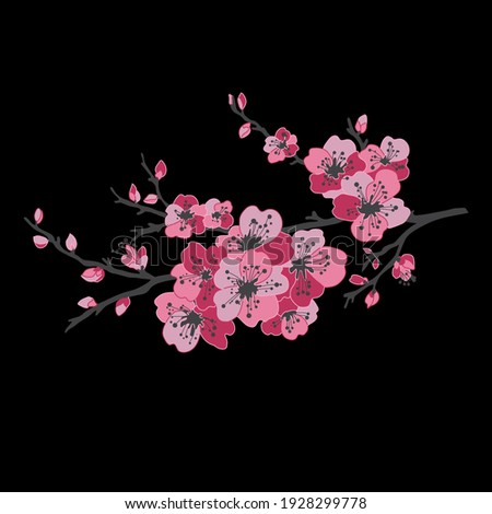 Decorative hand drawn sakura cherry blossom  flowers, design elements. Can be used for cards, invitations, banners, posters, print design. Floral background in line art style