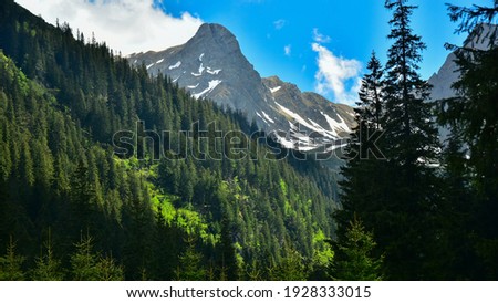 The sharp, craggy and snowed mountain peaks of Fagaras Mountains seen beyond a green spruce forest. Spring season, Carpathia, Romania. Royalty-Free Stock Photo #1928333015