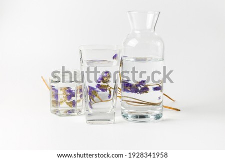 Refraction of objects through water. Purple dried flowers through glasses of water. Interior compositions.