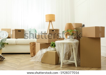 Cardboard boxes, potted plants and household stuff indoors. Moving day Royalty-Free Stock Photo #1928377016