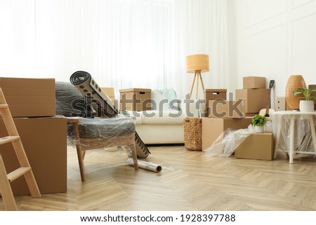Cardboard boxes, potted plants and household stuff indoors. Moving day Royalty-Free Stock Photo #1928397788