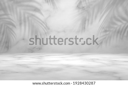 Empty marble white gray color with leaf plant shadow on wall studio background. Used for presentation cosmetic products for sale online. Nature minimal concept.