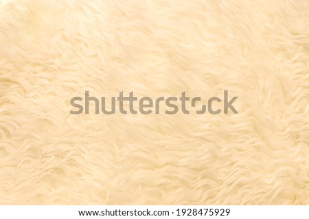 Faux fur with a long pile. Pastel cream artificial fabric, can be used as background. Fur for toys