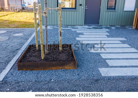 Beautiful view of new planted tree and street paving slabs in front of newly built wooden townhouse. Exterior design concept.