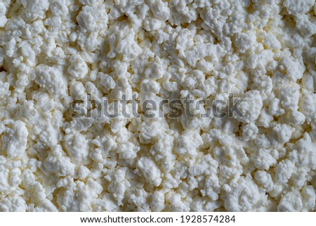 Cottage cheese of background, top view. White grainy texture of dairy product, cottage cheese close up. Dairy product concept