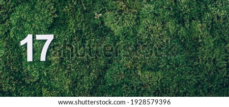 Ecology, zero waste. Green grass, digit seventeen. Birthday greeting card with inscription 17. Anniversary concept. Banner. Top view. Copy space. White numeral on eco moss background. Numerical digit. Royalty-Free Stock Photo #1928579396