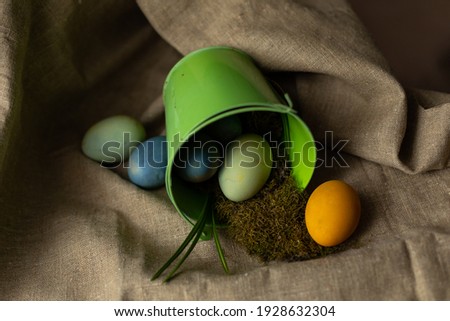 Photography on the eve of Easter. Bright Easter. Painted eggs. Natural colorants: turmeric and blueberries