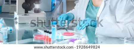 Young female scientist dissects tissue samples for cell culture in modern laboratory Royalty-Free Stock Photo #1928649824