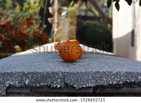 An orange line, standing mandarins.