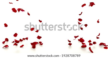 Red rose petals fall on the white mirrored floor. White background Royalty-Free Stock Photo #1928708789