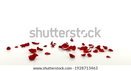 Red rose petals fall on the white mirrored floor. White background Royalty-Free Stock Photo #1928713463