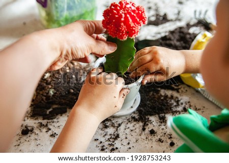 Unrecognizable woman helping kid to plant blooming cactus into pot while gardening on dirty table in weekend together