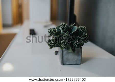 A selective focus shot of a beautiful bouquet of clovers in a pot